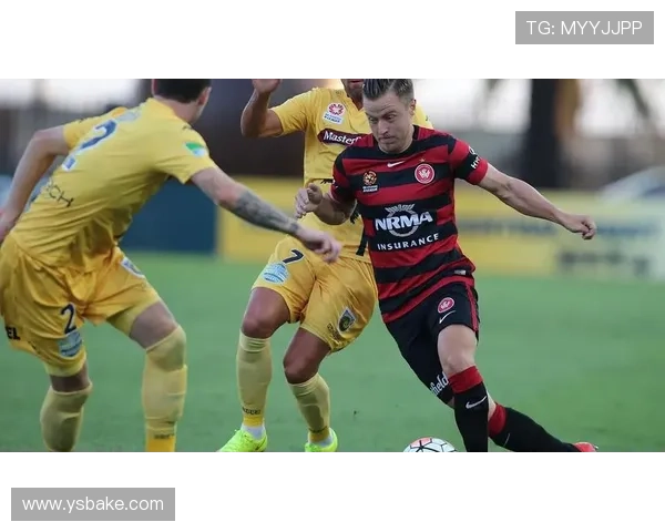 中央海岸逆转流浪者奥古拉瑟盖特